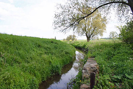 Allerbeiwefensleben.jpg