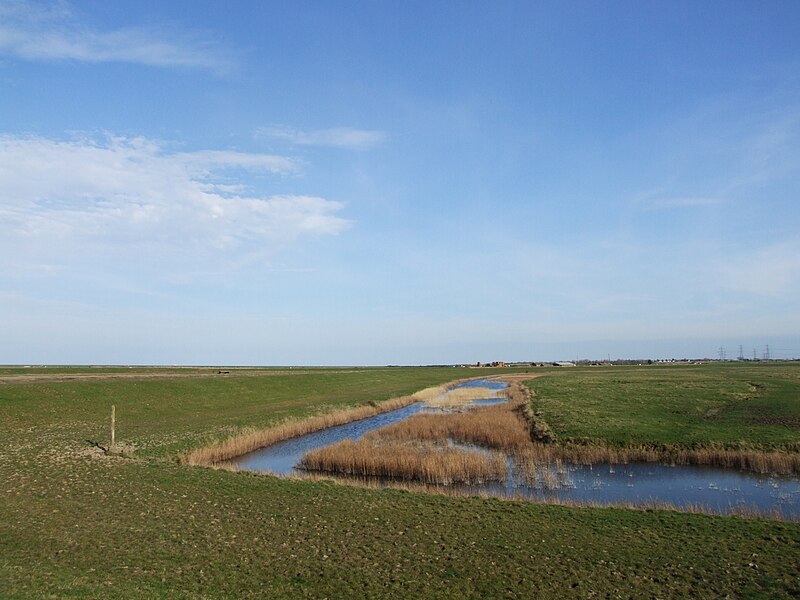 File:Allhallows Marshes - geograph.org.uk - 3889365.jpg