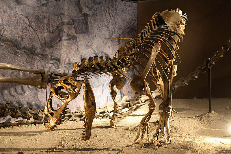 File:Allosaurus mount.jpg