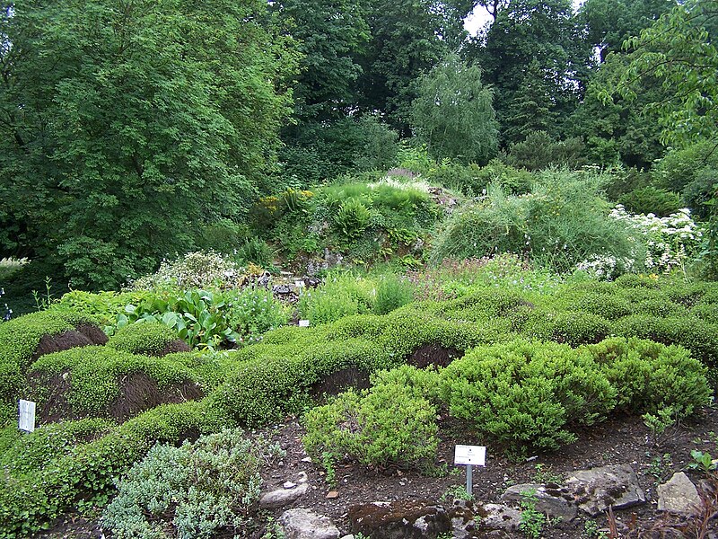 File:Alter Botanischer Garten der Universität Göttingen 005.jpg