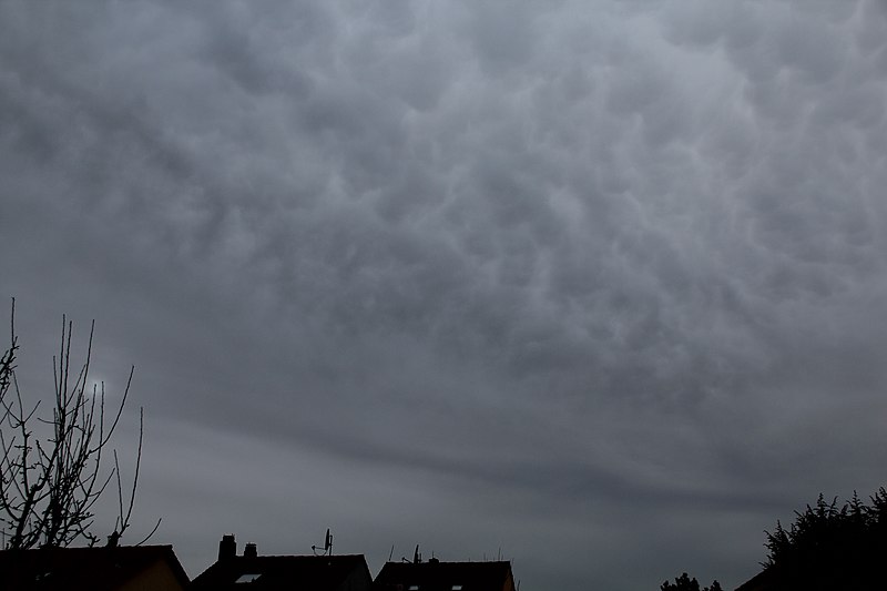 File:Altostratus translucidus mammatus.jpg