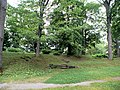 Am Schlosspark (Elbingerode) P1100084.jpg