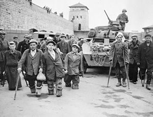 Camp De Concentration De Mauthausen: Histoire, Prisonniers, Libération et héritage