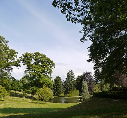 Arboretum of the Château de Neuvic d'Ussel