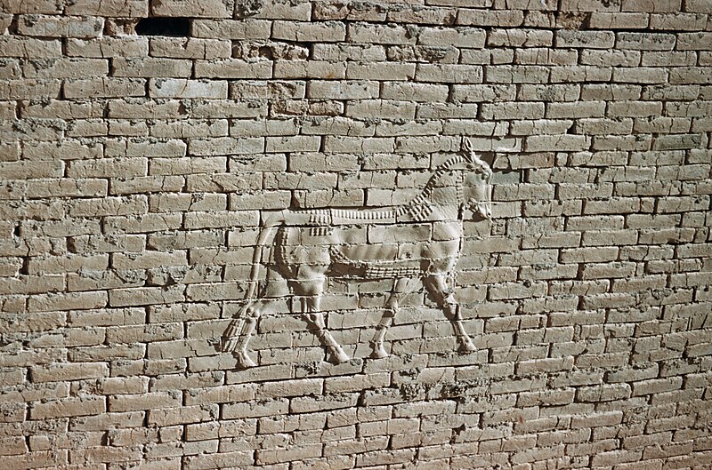 File:Archaeological dig in Babylon 1958 02.jpg