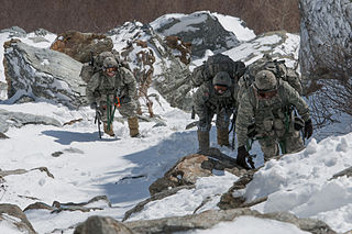 <span class="mw-page-title-main">Mountain warfare</span> Combat in mountains or rough terrain