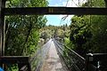 Arnold River (New Zealand) near its outlet from Lake Brunner near Moana, New Zealand]]