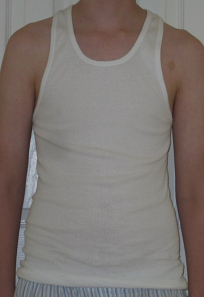 File:Ashirt.jpg