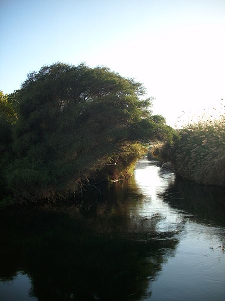 File:Aswan, Nile river, the tunnel through trees.jpg