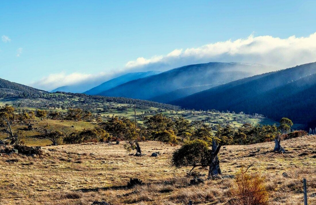 Southeast Australian foehn