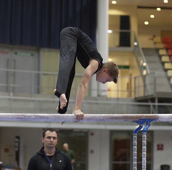 File:Austrian Future Cup 2018-11-23 Training Afternoon Parallel bars (Martin Rulsch) 0188.jpg