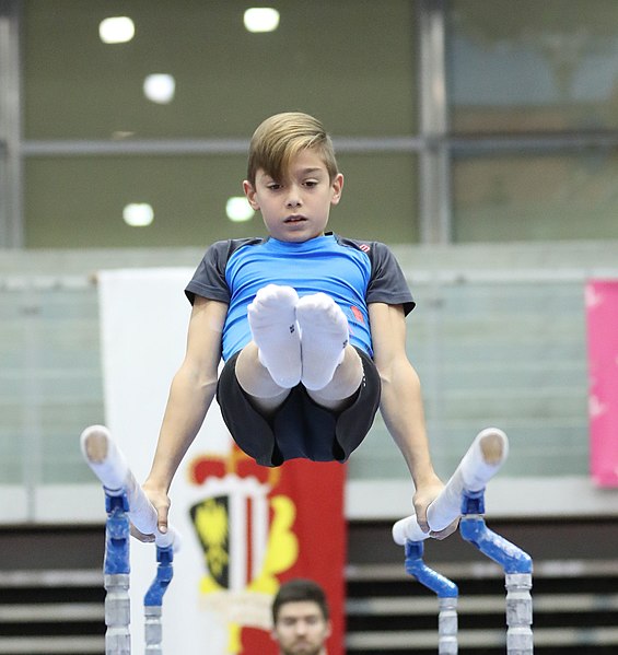 File:Austrian Future Cup 2018-11-23 Training Afternoon Parallel bars (Martin Rulsch) 0351.jpg