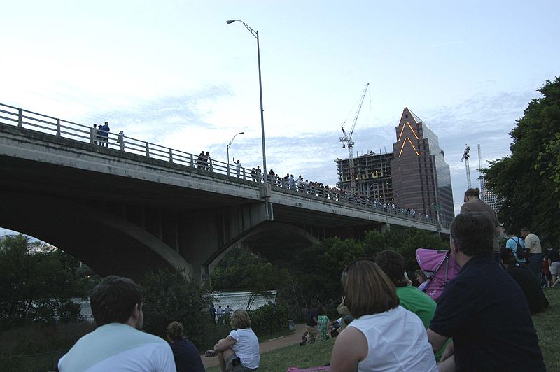 File:Bat-bridge-austin-2.jpg