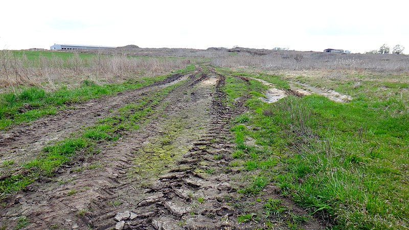 File:Belyanitsino, Vladimirskaya oblast', Russia, 601837 - panoramio (9).jpg