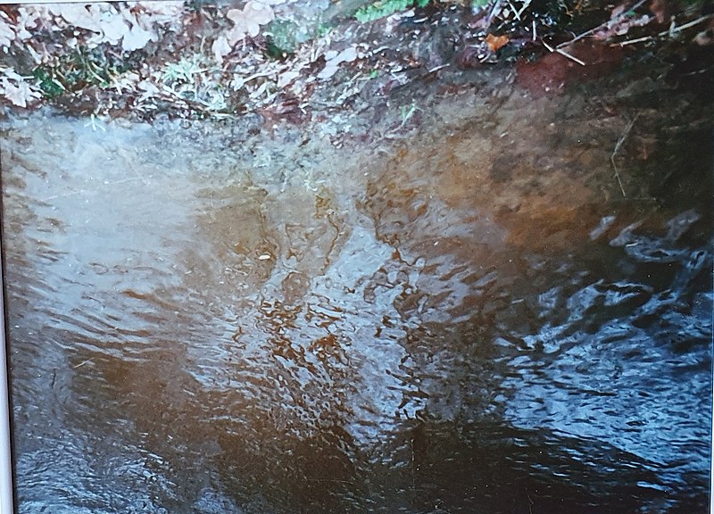 File:Bild einer Meerjungfrau , Wasserwesen , Gerd Sachs Ahlequelle.jpg