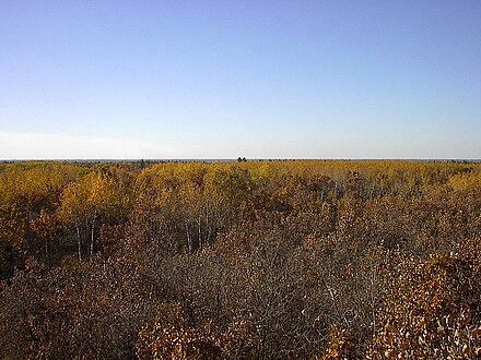 Autumn in Birds Hill Provincial Park