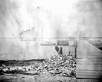 Boats and dock in Lotus, Florida, March 1895 Boats and dock in Lotus, Florida.jpg