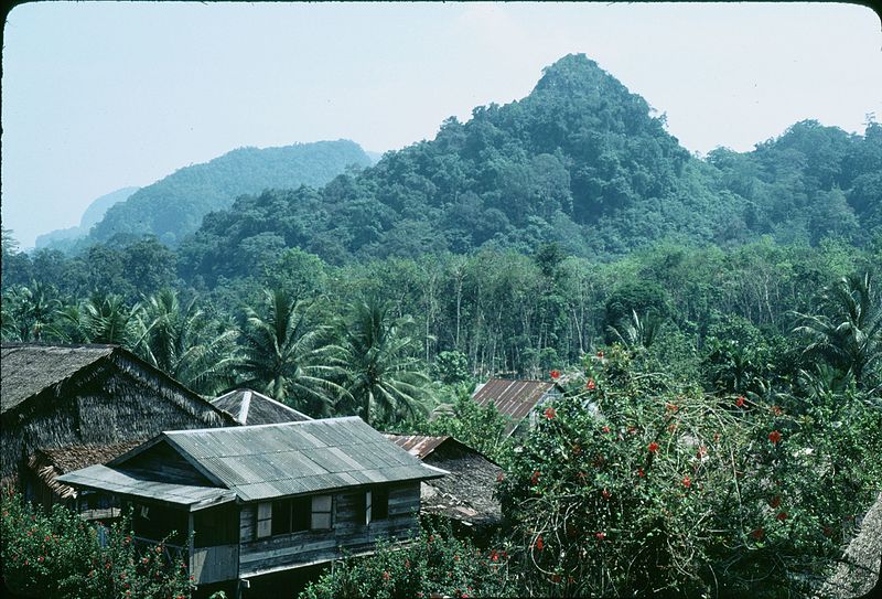 File:Borneo, Malaysia (27637365303).jpg