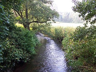 Bourne Brook tributary of the River Tame in Staffordshire, England