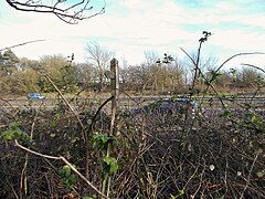 Bridleway and A5148 - geograph.org.uk - 6092230.jpg