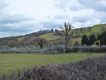 Brimmon Oak (geograph 5958816)