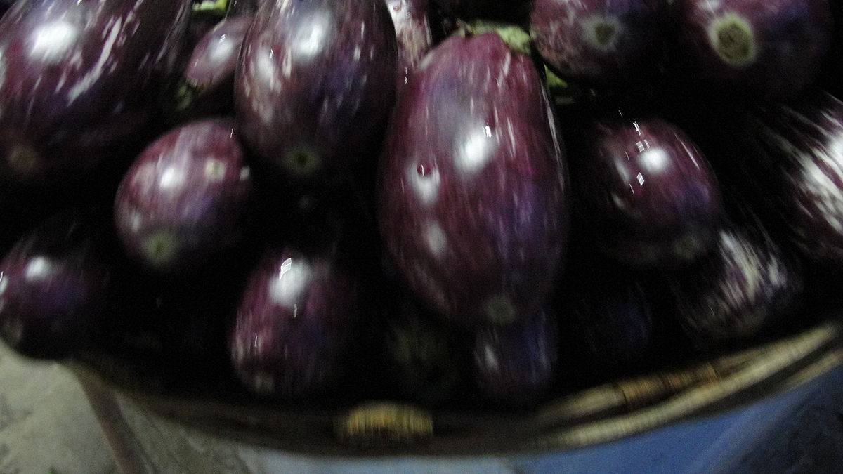 File:Brinjal.jpg - Wikimedia Commons