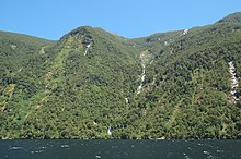 Browne Falls (Doubtful Sound).jpg