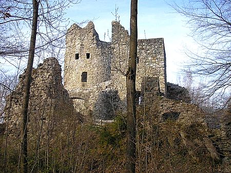 Burg Laubenbergerstein 3