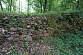 Mauerreste von „Schloss Tegernau“