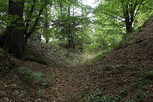 Burgstall Ramberg - Blick in den südlichen Bereich des Ringgrabens (Juli 2013)