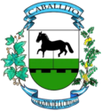 escudo oficial