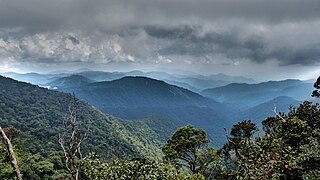 <span class="mw-page-title-main">Titiwangsa Forest Complex</span> Forest in Peninsular Malaysia