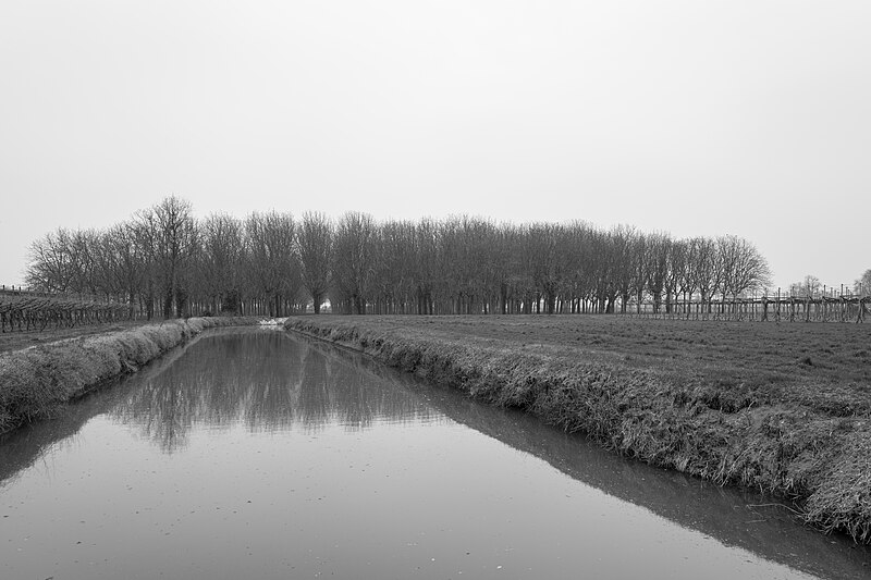 File:Canale dei Ronchi - Reggio Emilia, Italy - March 17, 2022 04.jpg