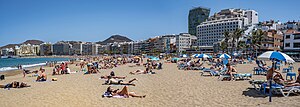 Miniatura para Playa de Las Canteras