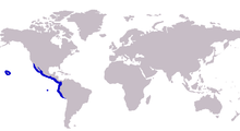 Mapa distribuce Caranx caballus.png
