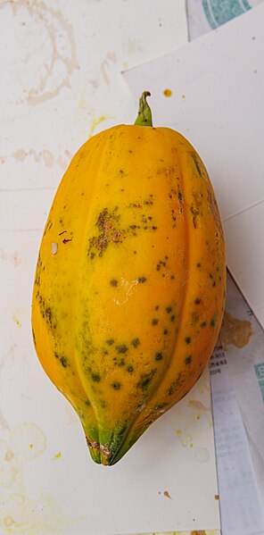 File:Carica papaya Fruit.jpg