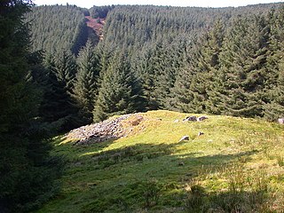 Carn Ban, Arran Neolithic chambered tomb located on the Isle of Arran in Scotland (grid reference NR99102618)