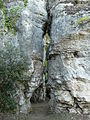 Castelnaud Lacoste parc fissure.JPG