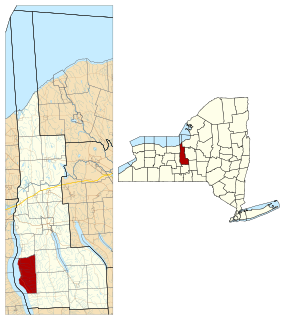 Ledyard, New York Town in New York, United States
