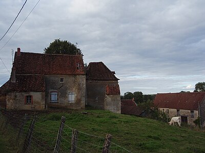 Châteauneuf : Chaume