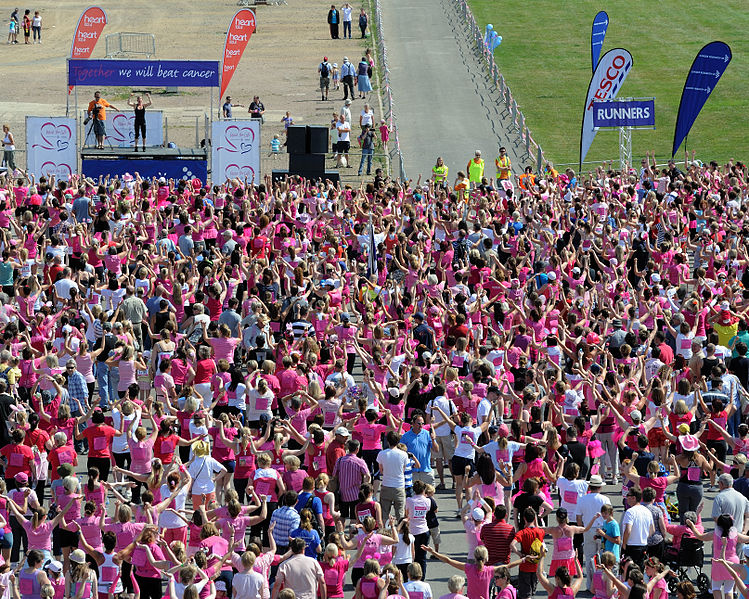 File:Cheltenham Race For Life.jpg