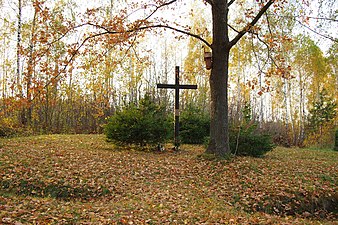 Le cimetière du choléra de Świnia Góra.