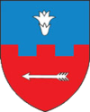 米卡舍維奇徽章