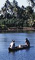 Backwaters bei Cochin