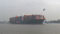 Container ship MOL Quartz in light fog starting Hamburg, Elbe river downstream 2014