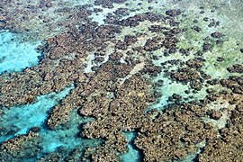 Coastal reefs on Vikeda