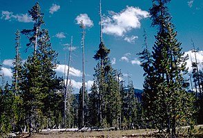 Crater Lake National Park CRLA2752.jpg