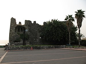 Ruins of a castle, with palm trees and foliage