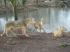 Crystal Palace Anoplotherium.jpg