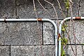 * Nomination Wall (and cable routing) of a walkway in the special ammunition depot Dülmen-Visbeck, Dernekamp, Kirchspiel, North Rhine-Westphalia, Germany --XRay 03:45, 13 April 2023 (UTC) * Promotion  Support Good quality -- Johann Jaritz 04:09, 13 April 2023 (UTC)